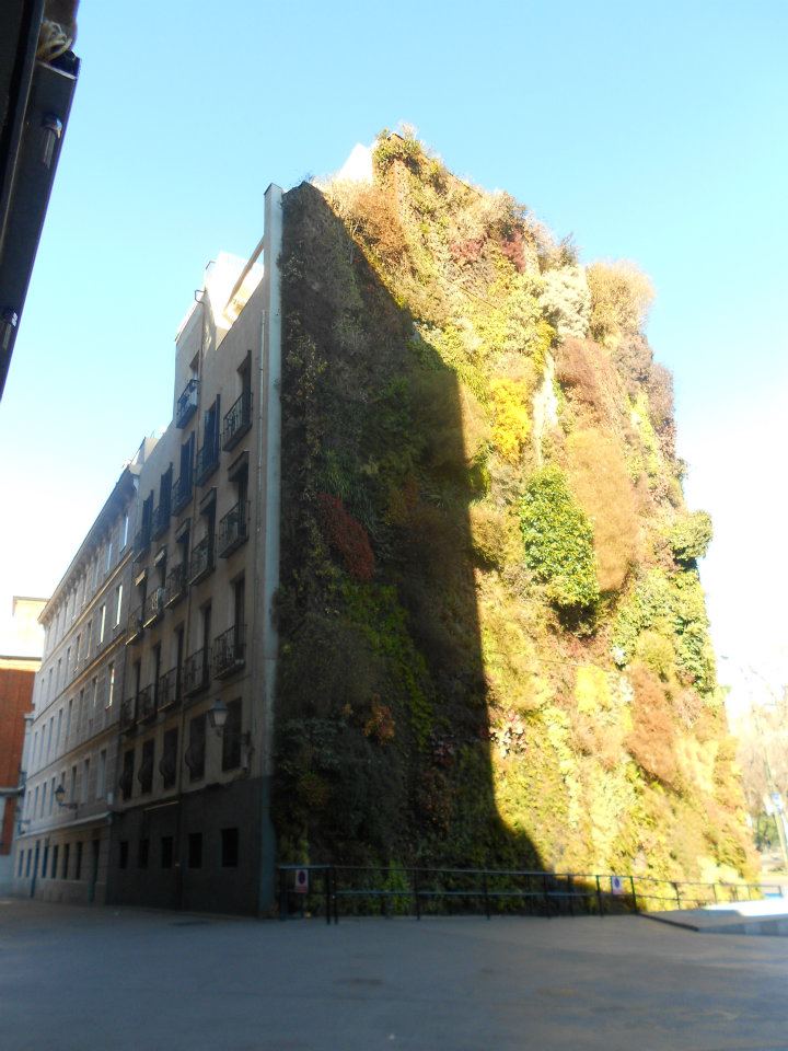 It All Depends On How You Look At It - Photo By Emily O'Sullivan