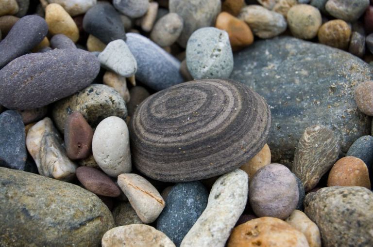 Beach Pebbles - Photo by Michael Dwyer