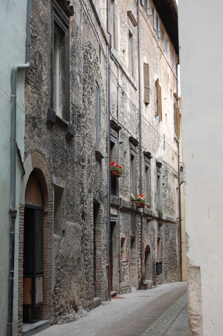 Geraniums - Photo by James K Flanagan