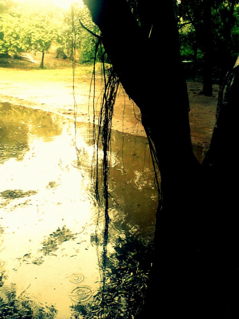 On the Surface - Phot by Anjumon Sahin