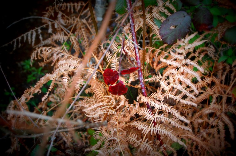 The Trinity - Photo by James K Flanagan