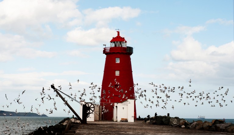 Flock To The Lighthouse - Photo by David Martin