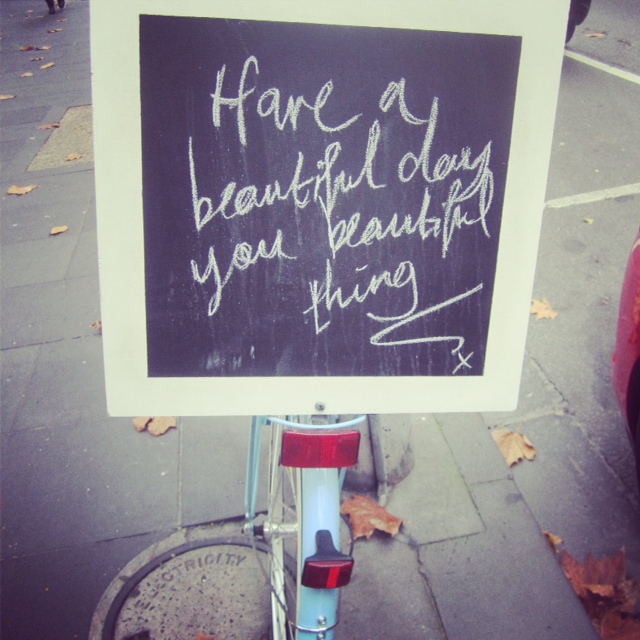 Have A Beautiful Day You Beautiful Thing - Photo by Amy Kennelly