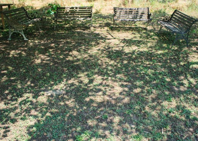 Find the Light - Photo by Denise O'Donnell