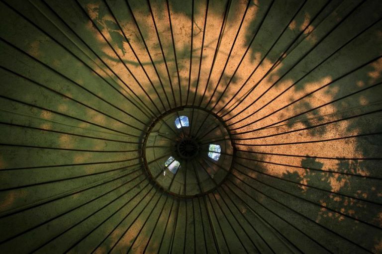 Up On The Inside - Photo by Denise O'Donnell