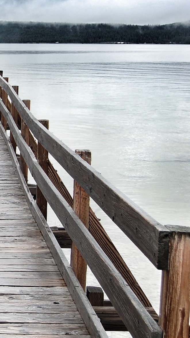 Cold Comfort - Photo by Carolyn Meredith