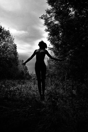 Dryad_David Chance Fragale